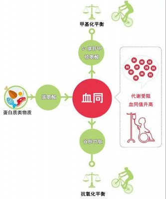 中国妇幼保健协会建议：有效降低HCY，守护妈妈与宝宝健康