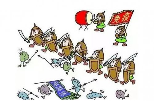 新型冠状病毒来袭，免疫力是最好的医生