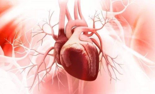 叶酸、同型半胱氨酸与心血管疾病
