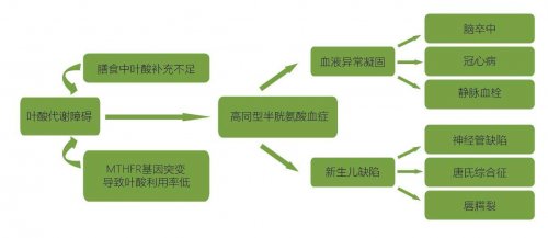 怀孕了进行叶酸代谢基因检测，检测结果是叶酸代谢障碍高度风险，医生说每天要吃2粒叶酸（正常都吃1粒），这样过量服用真的安全吗？