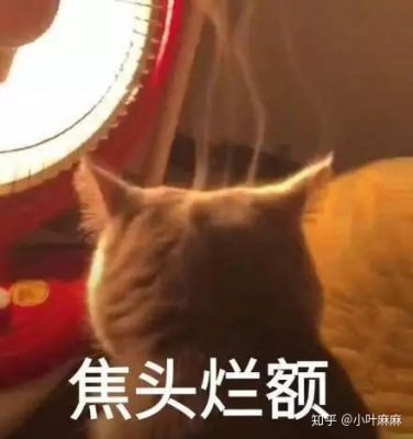 活性叶酸是个筐，啥都能往里装？