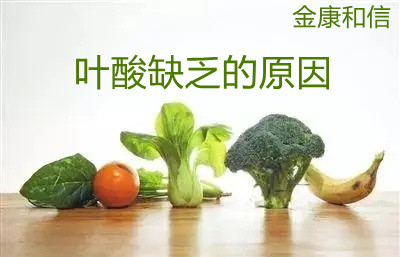 1648174360843007.jpg folate-deficiency_2.jpg