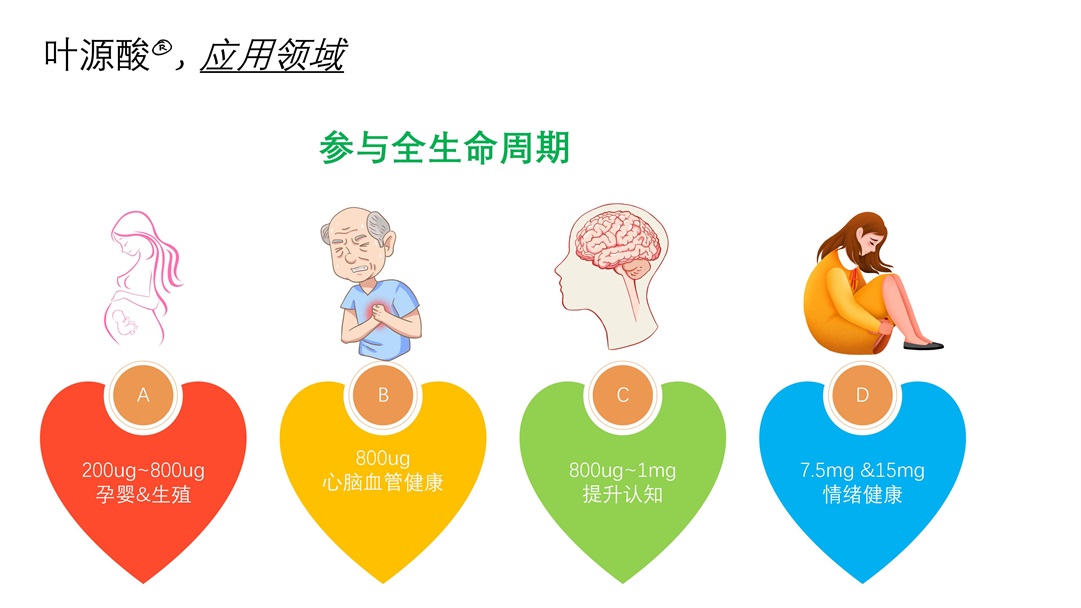 1652084104351758.jpg 金康和信 (10).jpg