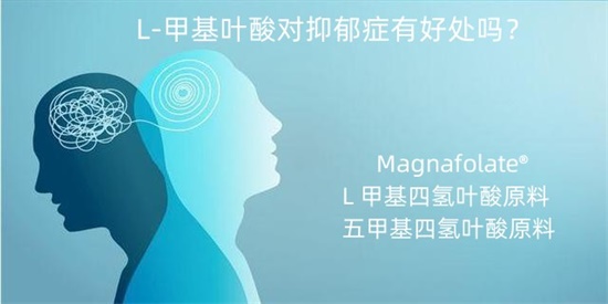 1668405952278636.jpg 甲基四氢叶酸与情绪健康.jpg