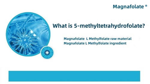 1669958443852588.jpg What is 5-methyltetrahydrofolate.jpg
