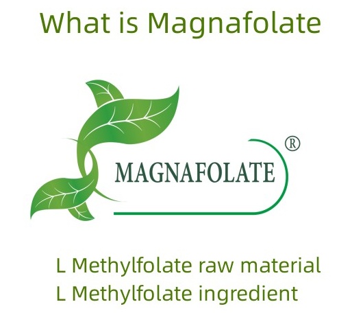 1670382597513210.jpg 什么是 Magnafolate.jpg