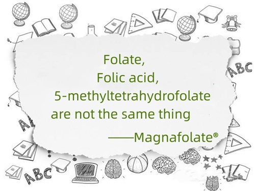 1670466473281633.jpg Folate Folic acid and 5-methyltetrahydrofolate are not the same thing.jpg