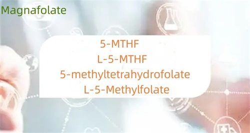 1670553377894657.jpg What is the difference between 5-methyltetrahydrofolate and folate.jpg
